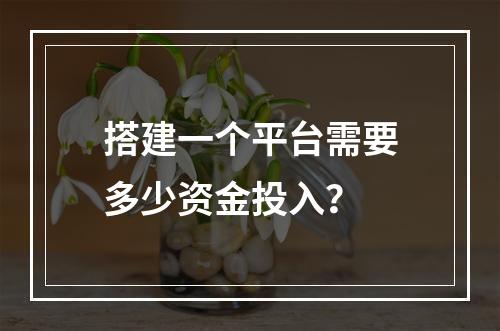 搭建一个平台需要多少资金投入?