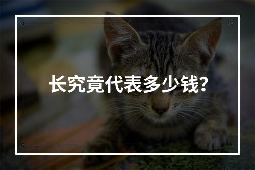 长究竟代表多少钱?