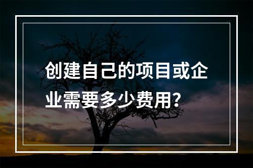 创建自己的项目或企业需要多少费用?