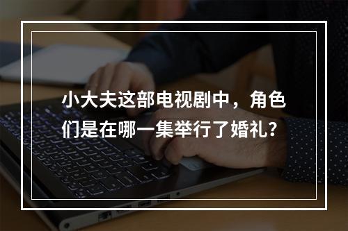 小大夫这部电视剧中,角色们是在哪一集举行了婚礼?