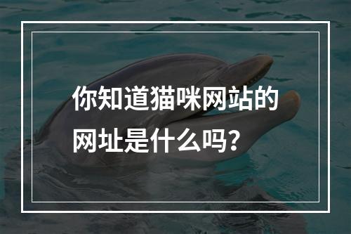 你知道猫咪网站的网址是什么吗?