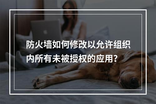 防火墙如何修改以允许组织内所有未被授权的应用?