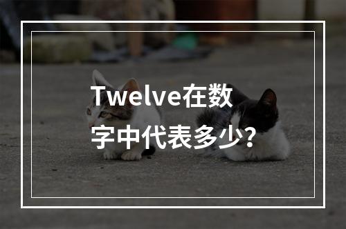 Twelve在数字中代表多少?