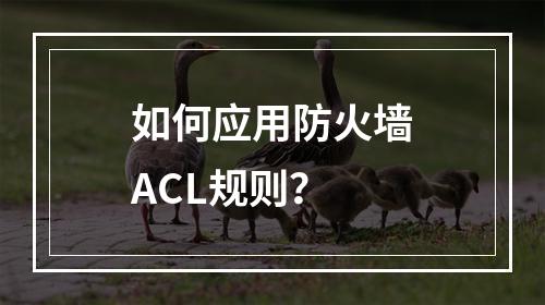 如何应用防火墙ACL规则?