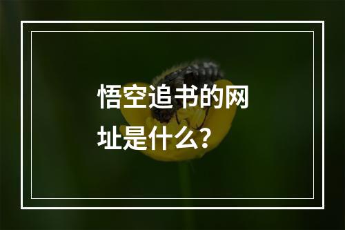 悟空追书的网址是什么?