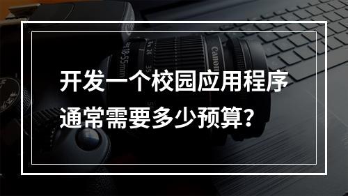 开发一个校园应用程序通常需要多少预算?