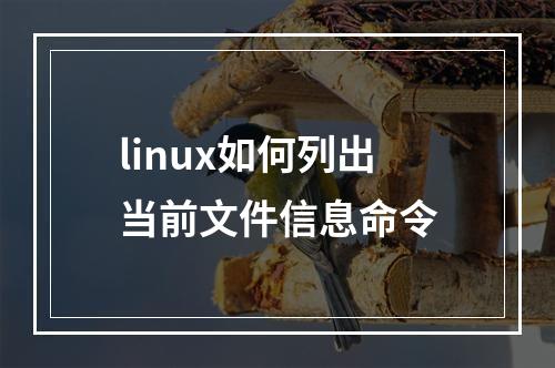 linux如何列出当前文件信息命令