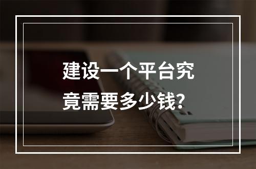 建设一个平台究竟需要多少钱?