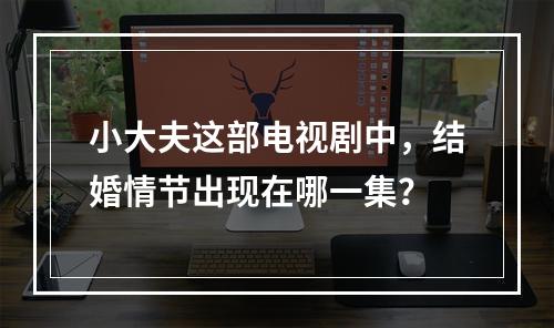 小大夫这部电视剧中,结婚情节出现在哪一集?