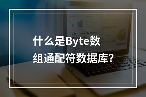 什么是Byte数组通配符数据库?