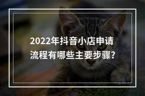 2022年抖音小店申请流程有哪些主要步骤?