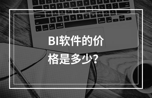 BI软件的价格是多少?