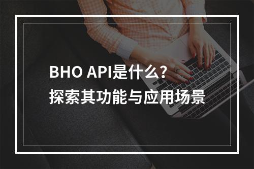 BHO API是什么?探索其功能与应用场景