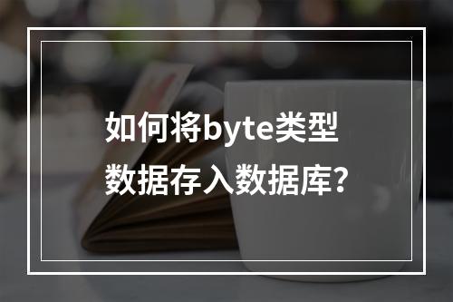 如何将byte类型数据存入数据库?