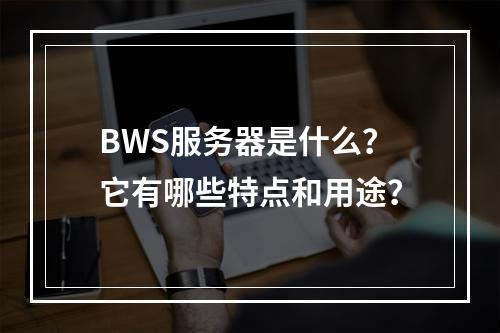 BWS服务器是什么?它有哪些特点和用途?
