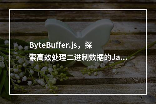 ByteBuffer.js,探索高效处理二进制数据的JavaScript库