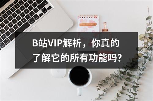 B站VIP解析,你真的了解它的所有功能吗?