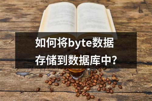 如何将byte数据存储到数据库中?