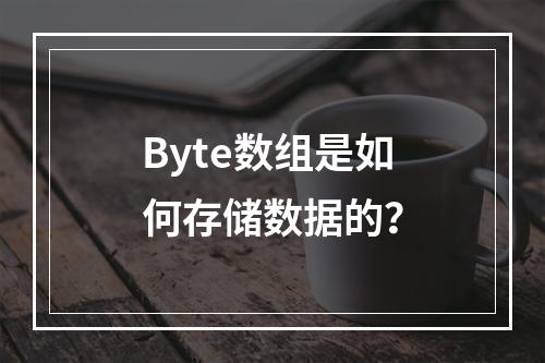 Byte数组是如何存储数据的?