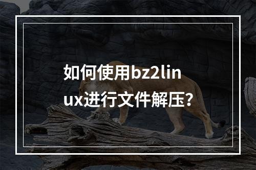 如何使用bz2linux进行文件解压?