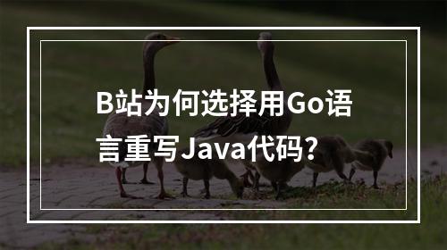 B站为何选择用Go语言重写Java代码?