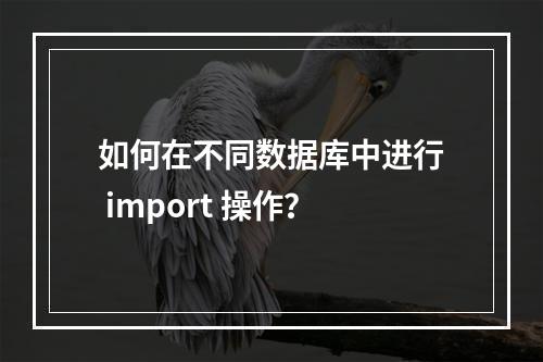 如何在不同数据库中进行 import 操作?