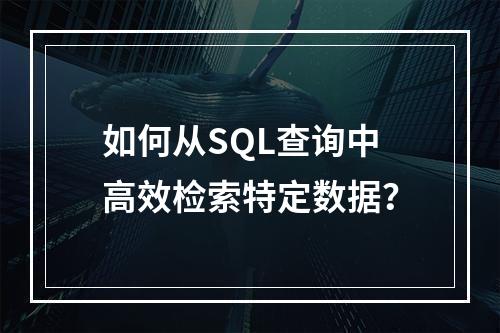 如何从SQL查询中高效检索特定数据?