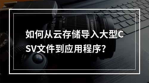 如何从云存储导入大型CSV文件到应用程序?