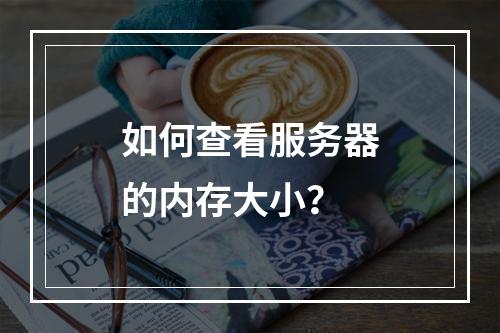 如何查看服务器的内存大小?