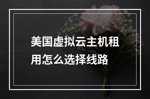 美国虚拟云主机租用怎么选择线路