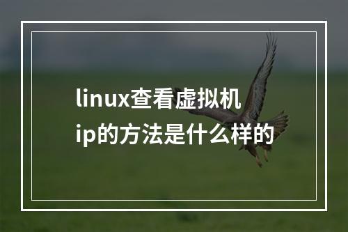 linux查看虚拟机ip的方法是什么样的