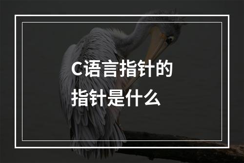 C语言指针的指针是什么