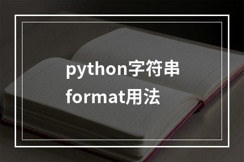 python字符串format用法
