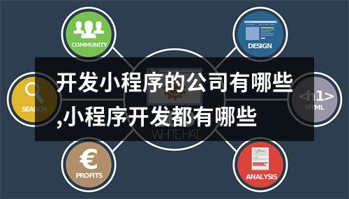 开发小程序的公司有哪些,小程序开发都有哪些