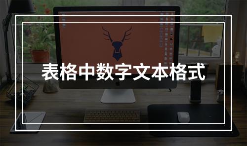 表格中数字文本格式