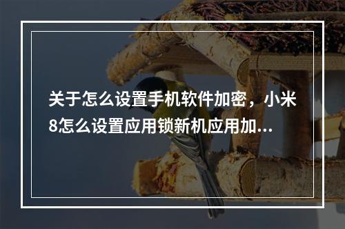 关于怎么设置手机软件加密,小米8怎么设置应用锁新机应用加密设置只需这几招的信息