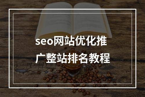 seo网站优化推广整站排名教程