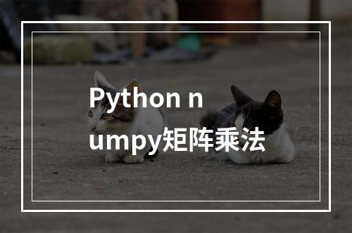 Python numpy矩阵乘法