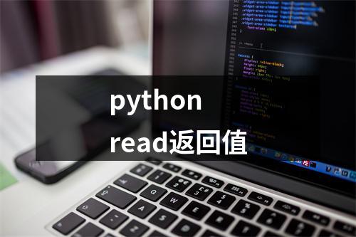 python read返回值