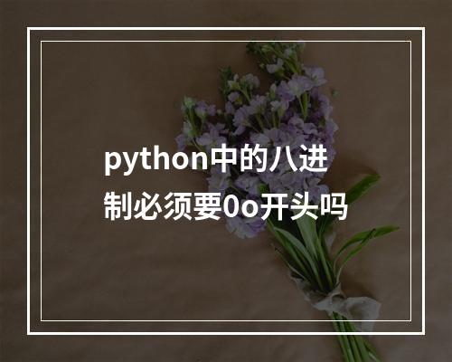 python中的八进制必须要0o开头吗