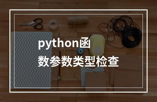 python函数参数类型检查