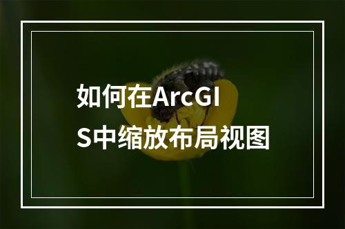 如何在ArcGIS中缩放布局视图