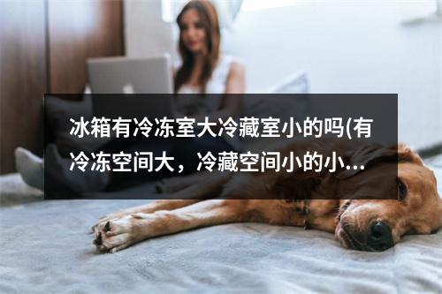 冰箱有冷冻室大冷藏室小的吗(有冷冻空间大,冷藏空间小的小冰箱吗?)