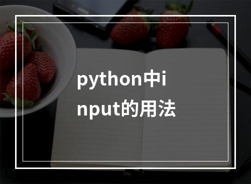 python中input的用法