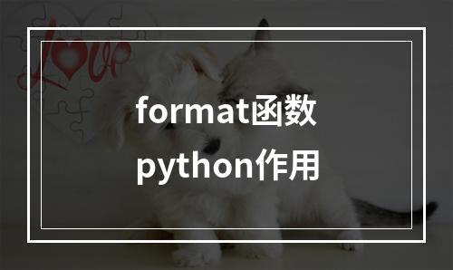 format函数python作用