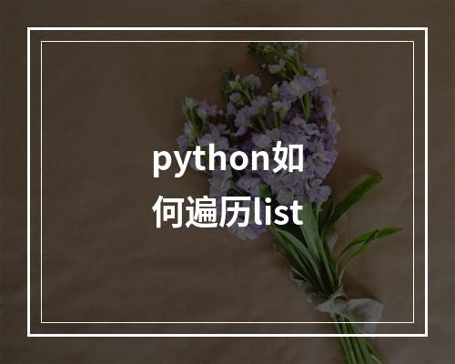 python如何遍历list