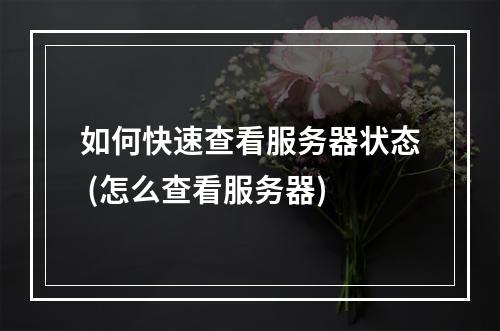 如何快速查看服务器状态 (怎么查看服务器)