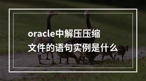 oracle中解压压缩文件的语句实例是什么