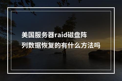 美国服务器raid磁盘阵列数据恢复的有什么方法吗