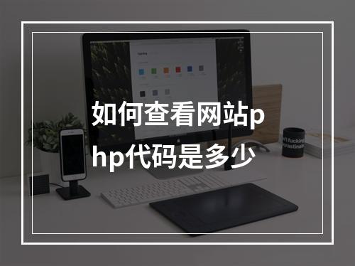 如何查看网站php代码是多少